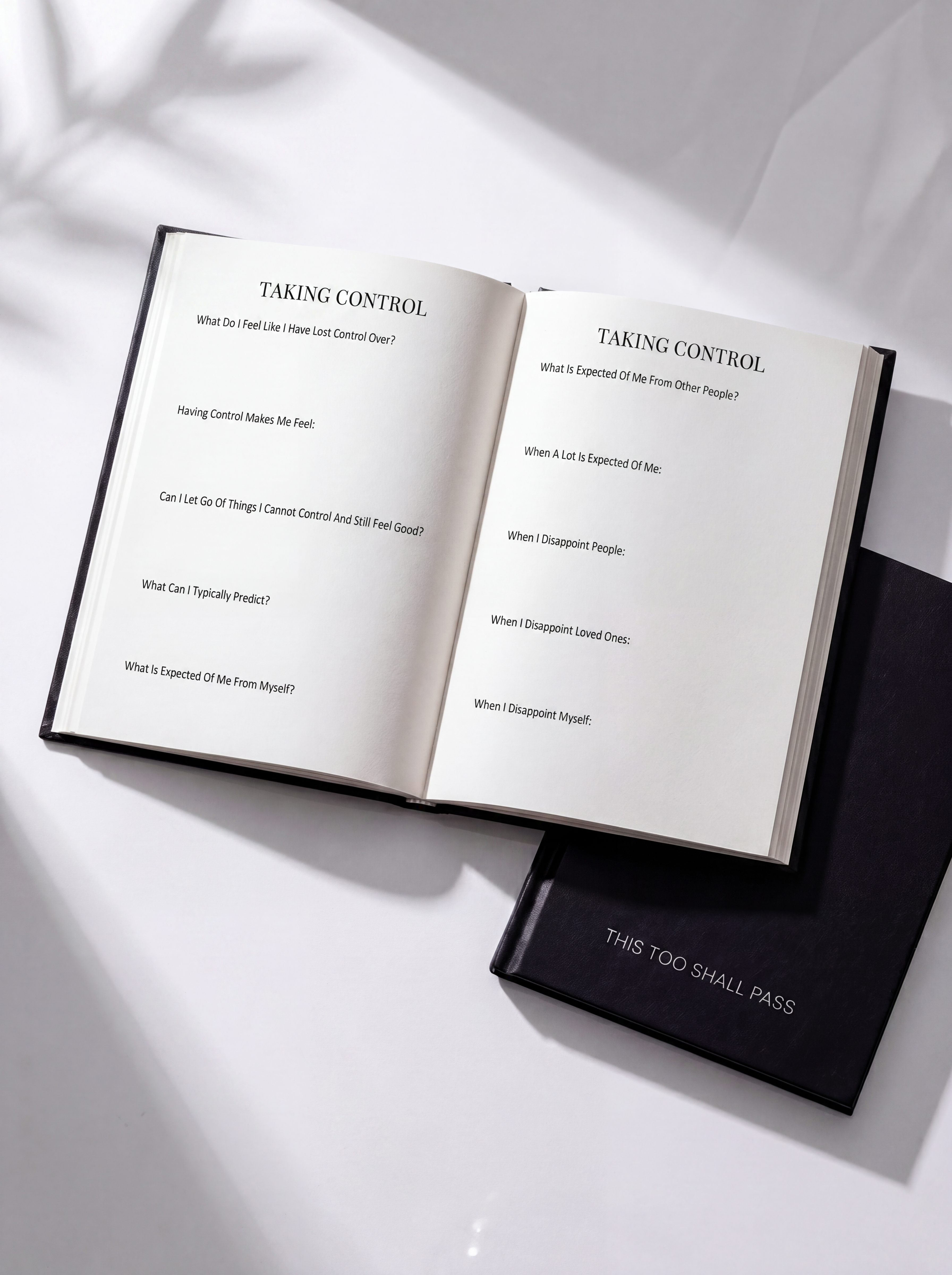 Guided journal for women surviving hard emotional seasons in life